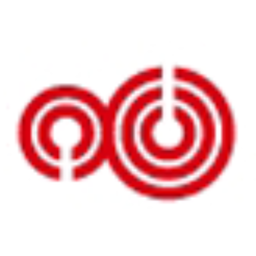 Re-visjon AS